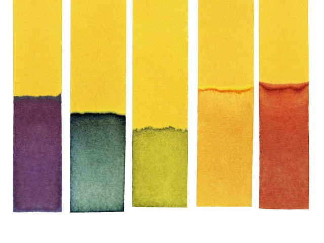 117451485 56a133833df78cf7726858c2 5c70604d46e0fb0001436209